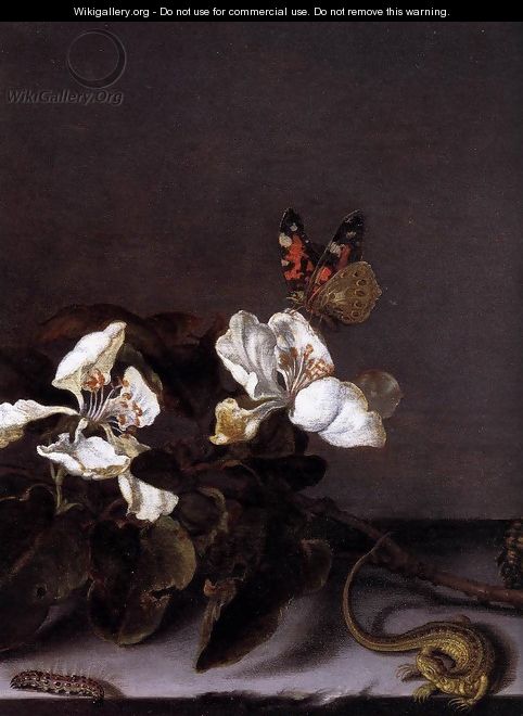 Still-Life with Apple Blossoms (detail) - Balthasar Van Der Ast