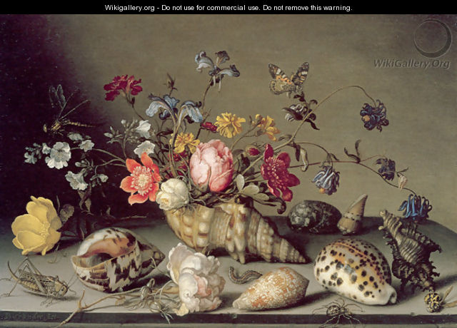 Still Life with Flowers, Shells and Insects - Balthasar Van Der Ast