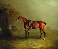 Racehorse - Benjamin Marshall