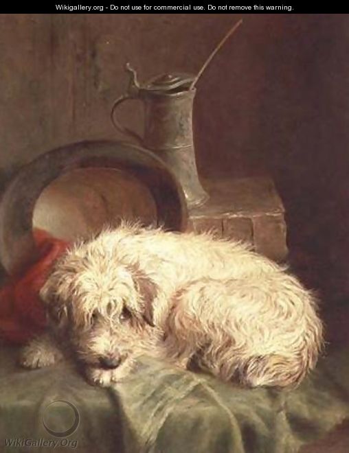 A Terrier - John Fitz Marshall
