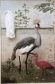 Cockatoo Crested Crane and Scarlet Ibis - Henry Stacy Marks