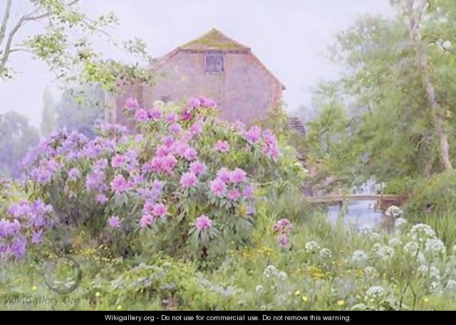 Rhododendrons by a watermill - George Marks