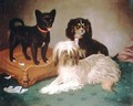 Three dogs - William Elsob Marshall