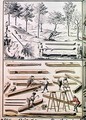 Different species of tree and sawing logs from Traite de Fortifications - Claude Masse