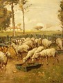 The Sheep Fold - William McBride