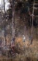 Lost 1886 - Frederick McCubbin