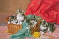 Mischievous Kittens - Daniel Merlin