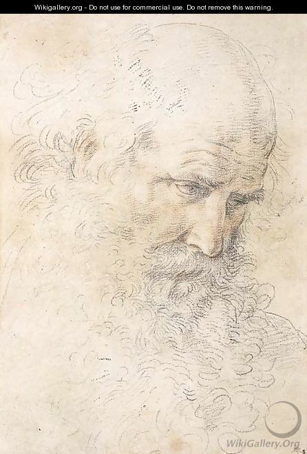 The head of a bearded man looking down - Guido Reni