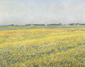 La plaine de Gennevilliers, champs jaunes - Gustave Caillebotte