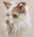 Mite, a terrier - Gourlay Steell