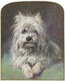 A West Highland terrier - Gourlay Steele