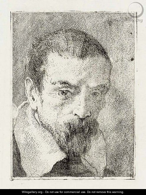 Old man with a Beard and a bare Head, from Raccolta di Teste II - Giovanni Domenico Tiepolo