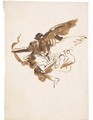 Study of a flying angel - Giovanni Domenico Tiepolo