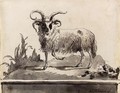 A ram walking to the left - Giovanni Domenico Tiepolo