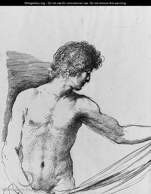 A draped Youth holding some Drapery, half-length - Giovanni Francesco Guercino (BARBIERI)