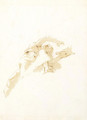 A figure holding a torch, seen from below - Giovanni Battista Tiepolo
