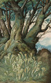 Cladonia pixidata (Lichen) and Carpinus betulus (Hornbeam) - Gherado Cibo