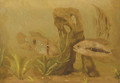 Kameleon vissen - Gerrit Willem Dijsselhof