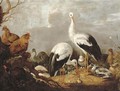 Storks, mallards, chickens, a heron, a frog and other birds in a river landscape - Gijsbert Gillisz. de Hondecoeter