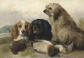 Spaniels with the day's bag - George W. Horlor