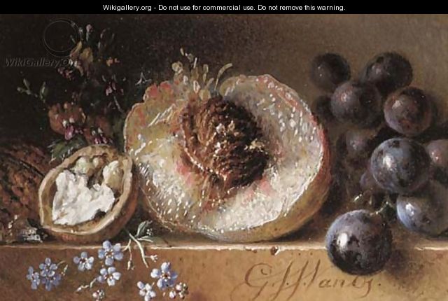 Walnuts, peach and grapes on a stone ledge - George Jacobus Johannes Van Os