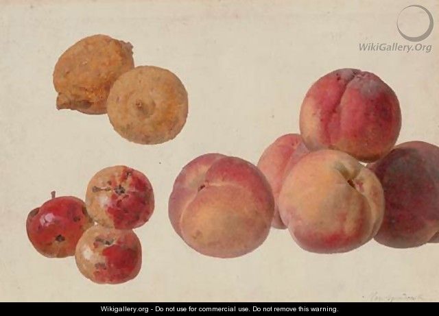 A study of peaches, lemons and crabapples - Gerard Van Spaendonck