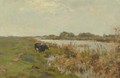 A cow in a polder landscape - Gerard Altman