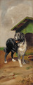 Toby, before a kennel - George Paice