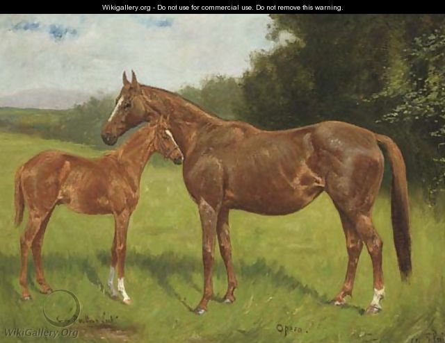 Opera, a chestnut mare with a foal - George Paice