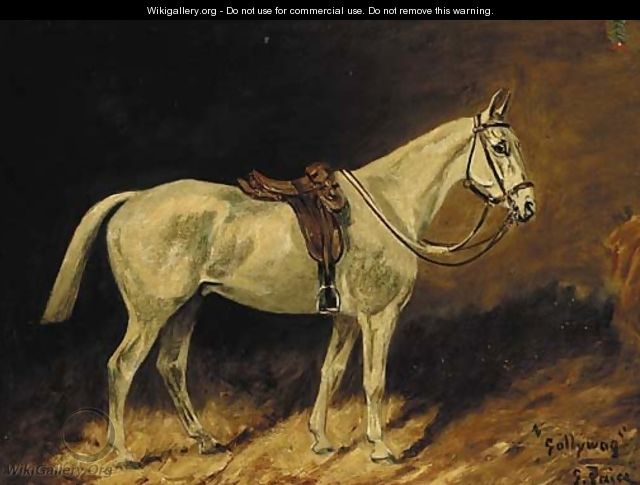 Gollywog, a saddled grey hunter in a stable - George Paice