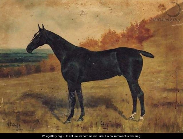 Ebony, a black Racehorse in a Landscape - George Paice