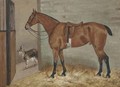 A saddled bay hunter in a stable with a goat - George Paice