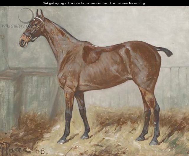 A bay hunter in a stable - George Paice