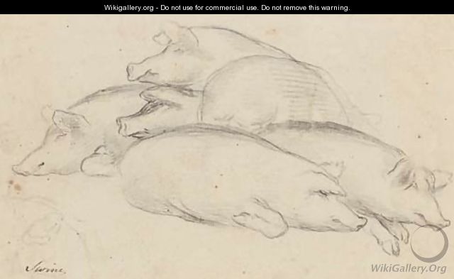Study of swine - George Morland
