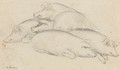 Study of swine - George Morland