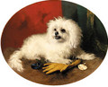 A Maltese Terrier - George W. Horlor