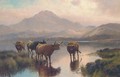 Highland cattle, Loch Ness - Henry R. Hall