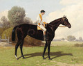 Brown Beauty with Jockey Up - Henry Stull