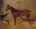 Hotspur, a saddled liver chestnut hunter with a dog in a stable - Herbert Jones