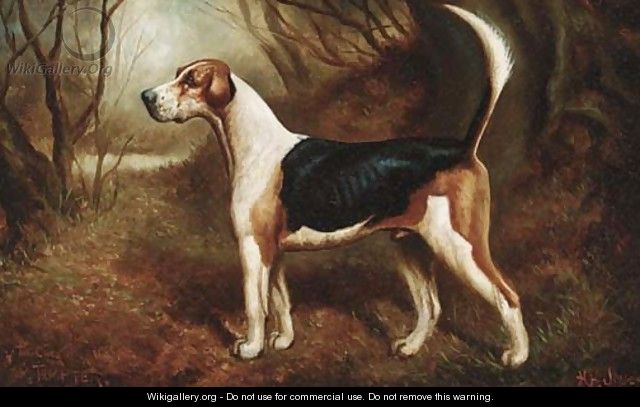 A favourite beagle - Herbert Jones