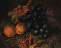 Grapes, plums and a butterfly on a mossy bank - Henry George Todd