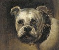 A bulldog - Henry Maurice Page