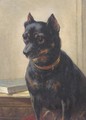 An attentive look - Henriette Ronner-Knip