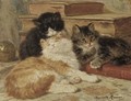 Three of a kind - Henriette Ronner-Knip