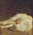 Taking a nap - Henriette Ronner-Knip