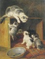 Rebellious kittens - Henriette Ronner-Knip