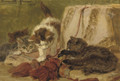 Playful kittens 2 - Henriette Ronner-Knip