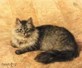 Peter the Cat - Henriette Ronner-Knip