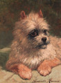 A terrier - Henriette Ronner-Knip