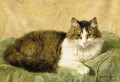 A natural pose - Henriette Ronner-Knip